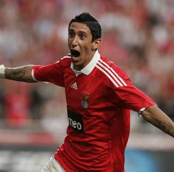 dimaria7